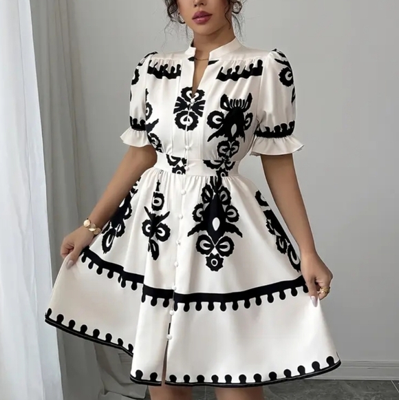 3/$30 Elegant Black and White Dress - Picture 2 of 8